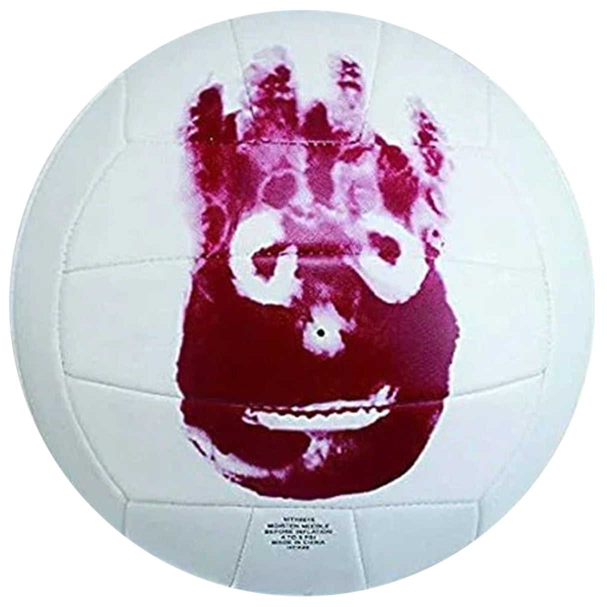 Wilson Castaway Volleyball