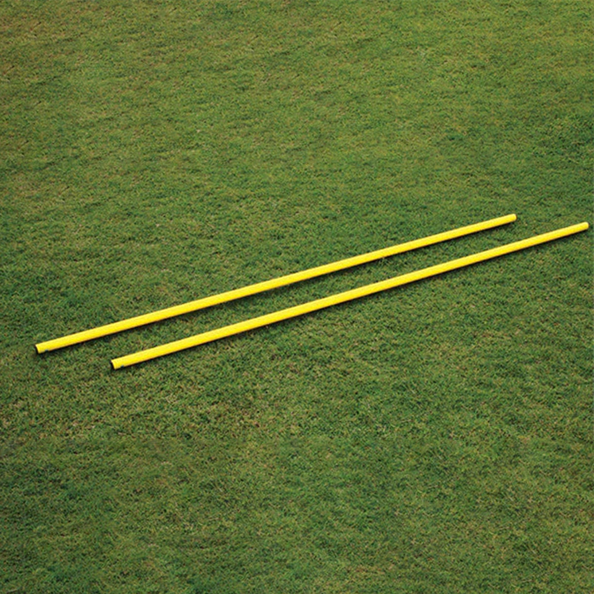 Agility Poles and Base