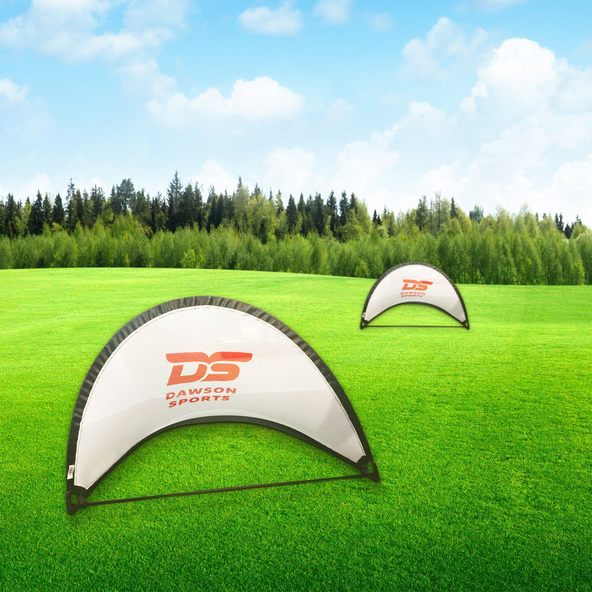 DS Pop Up Goal with Bag