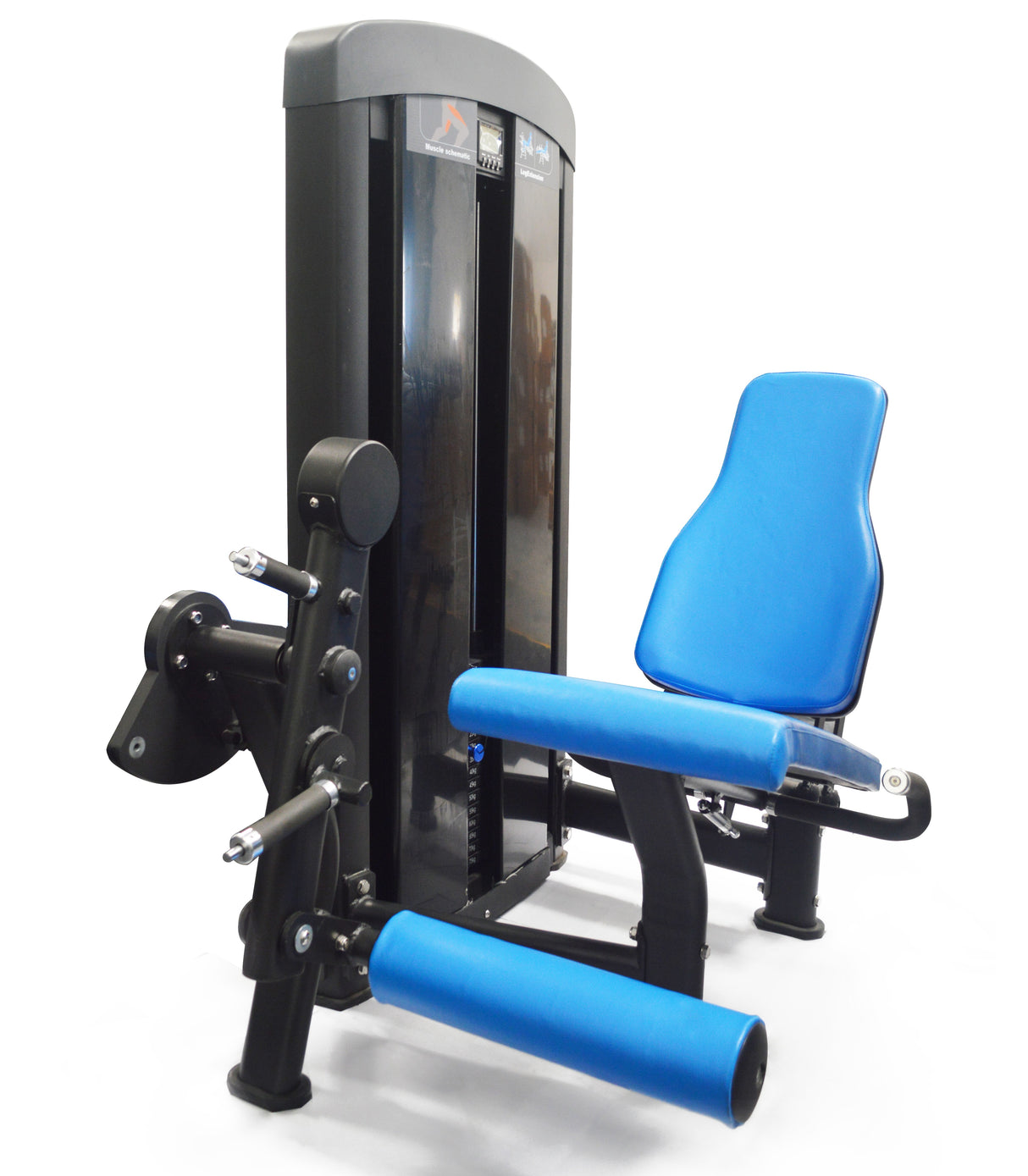 DS Leg Extension