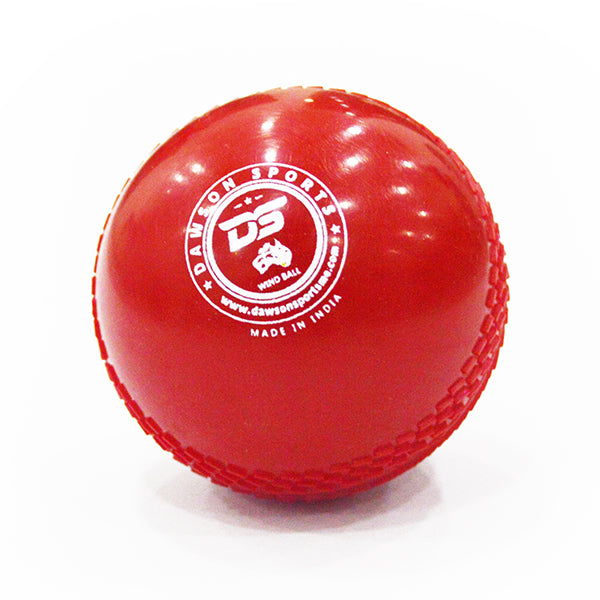 Cricket Windball