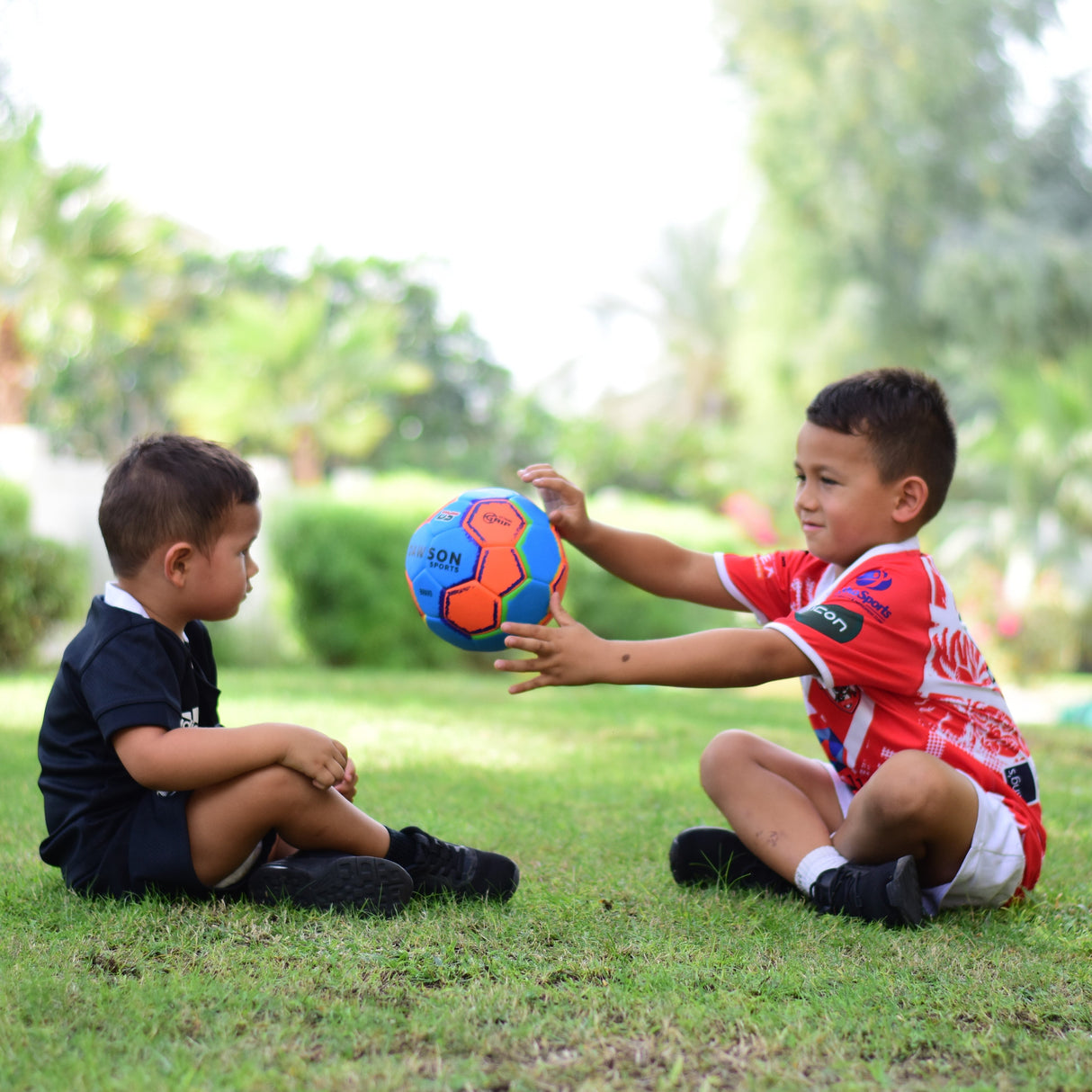 Bravo Handball (4 sizes available)