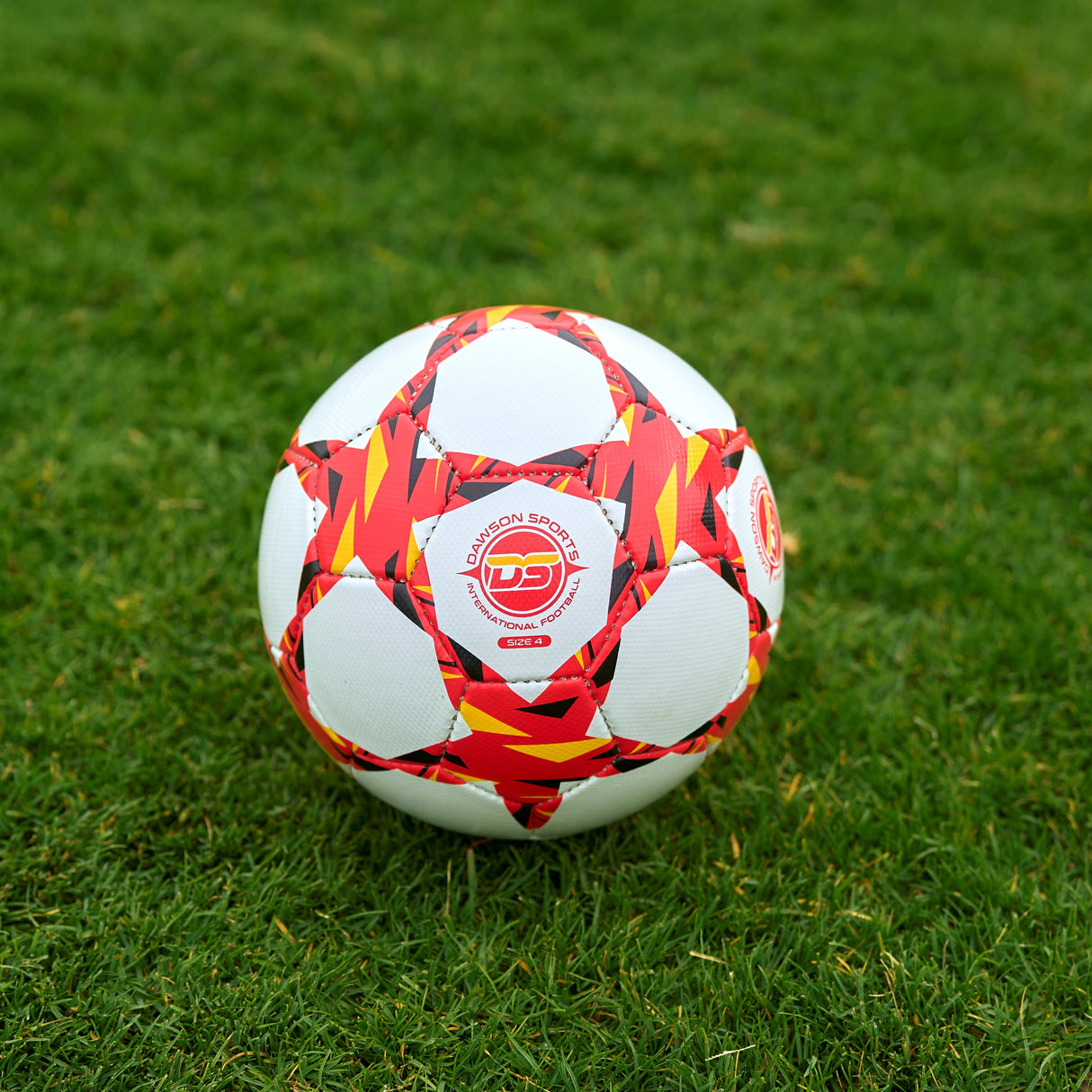 International Football (3 sizes available)