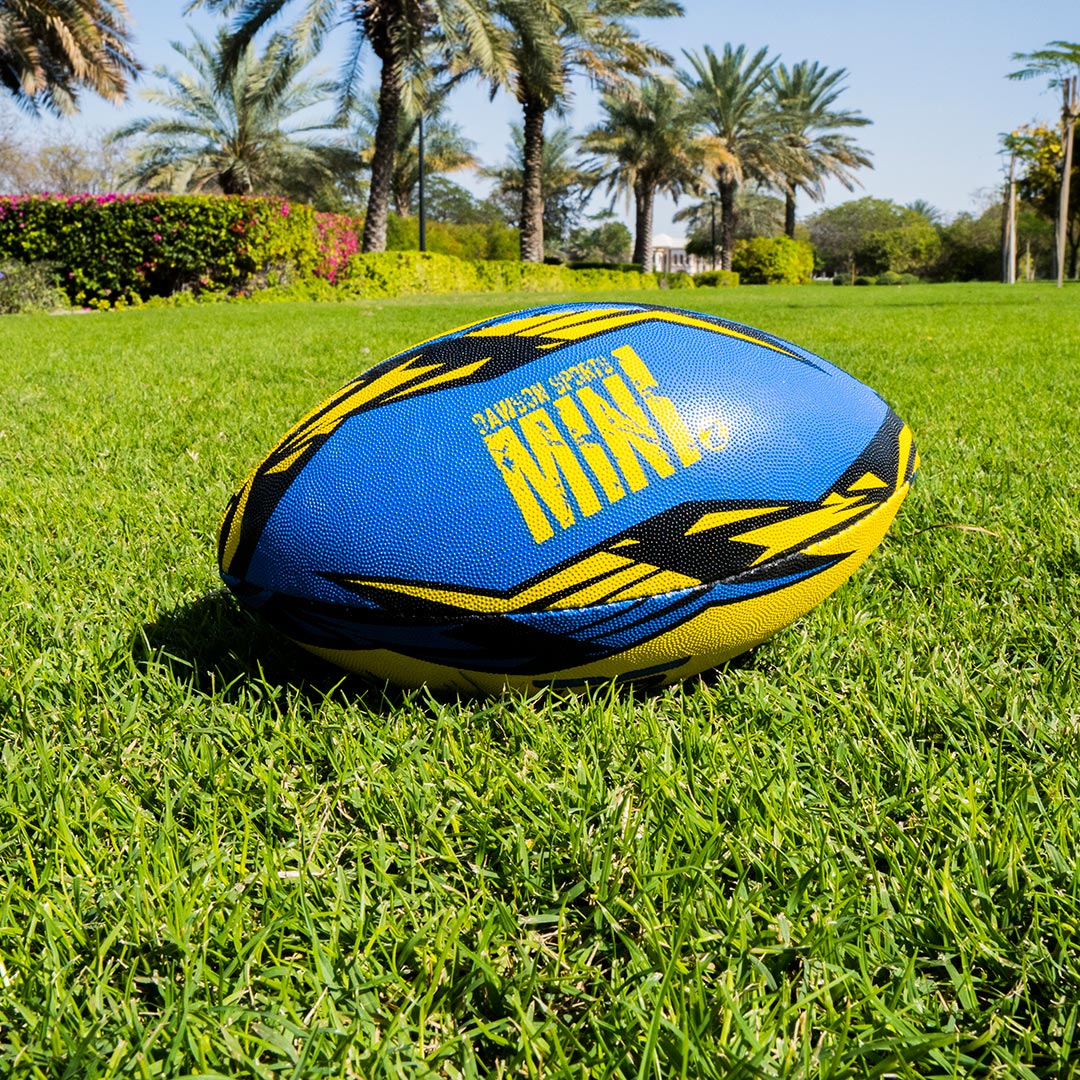 DS Mini Rugby Ball (2 sizes available)