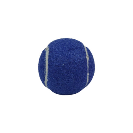 Coloured Tennis Balls (Pack of 12)