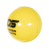 DS Cricket Windball