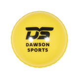 DS Cricket Windball