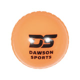 DS Cricket Windball