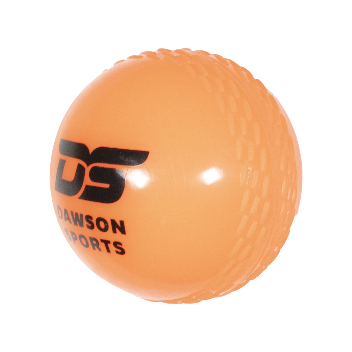 DS Cricket Windball