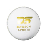 DS Match Leather Cricket Ball - Premium