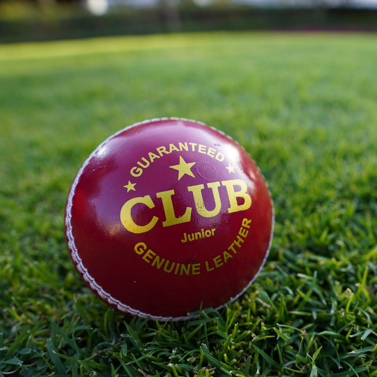 Club Leather Cricket Ball