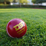 Club Leather Cricket Ball