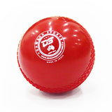 DS Cricket Windball