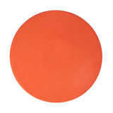 DS Indoor PVC Discus