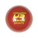 DS Poly Hard Cricket Ball