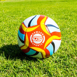 Mini Football (2 sizes available)