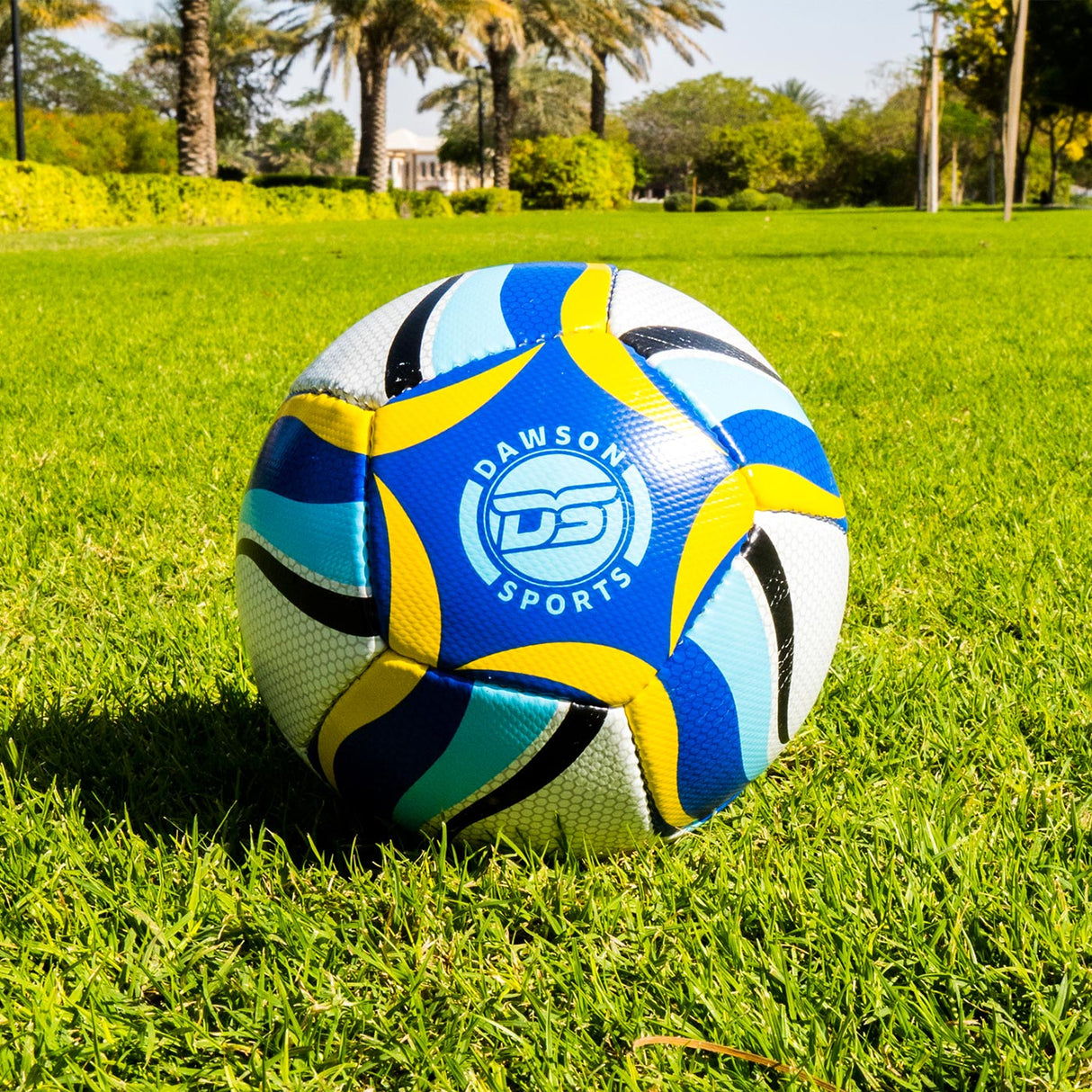 Mini Football (2 sizes available)