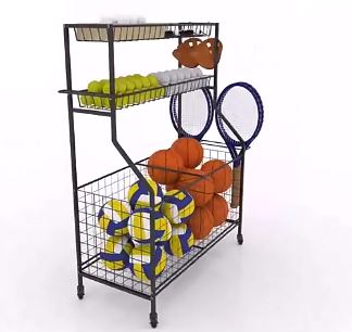 DS Multipurpose Sports Rack with Wheels